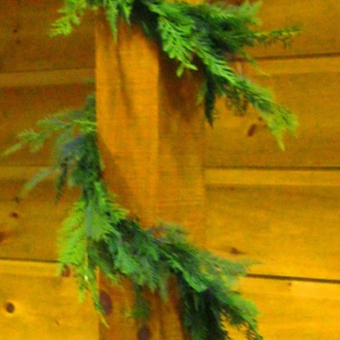 Leyland Cypress Garland 20 ft (2)