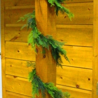 Leyland-Cypress-Garland-20'